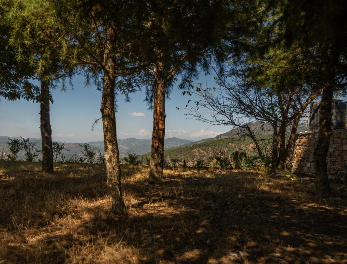 Blusalzz Homes - The Himalayan Bungalow, Almora - Uttarakhand المظهر الخارجي الصورة